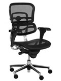 Style Ergonomics  Sub Executive M5 Office chair 