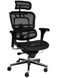 Style Ergonomics  Sub Executive M5 Office chair with  Headrest
